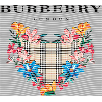 Brand Catalog-ZX 341